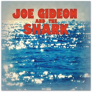 You Don't Look At A Tidal Wave, A Tidal Wave Looks At You - Joe Gideon & The Shark