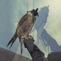 You`Re Nothing Iceage