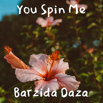 You Spin Me - Barzida Daza