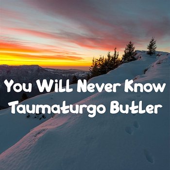 You Will Never Know - Taumaturgo Butler