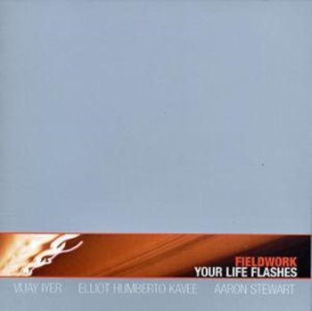 Your Life Flashes - Fieldwork, Iyer Vijay, Kavee Elliot Humberto, Stewart Aaron