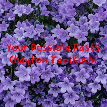 Your Possible Pasts - Chayton Tanikuchi