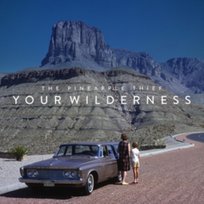 Your Wilderness The Pineapple Thief