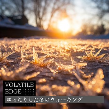 ゆったりした冬のウォーキング - Volatile Edge