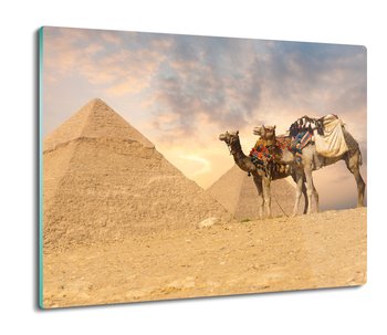 z foto ochrona na indukcję Piramida wielbłąd 60x52, ArtprintCave - ArtPrintCave