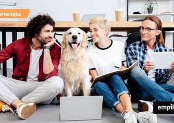 Z psem do biura – jak się przygotować?