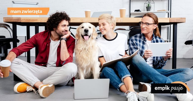 Z psem do biura – jak się przygotować?