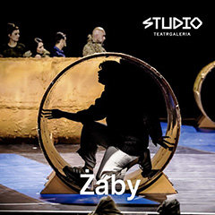 Żaby