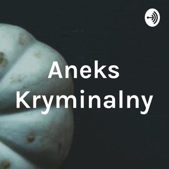 Zaginięcie Dona Kempa - Aneks kryminalny - podcast - Agnieszka Rojek