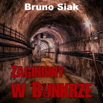 Zaginiony w bunkrze - Bruno Siak
