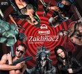 Zaklinacz - Szmidt Robert J.