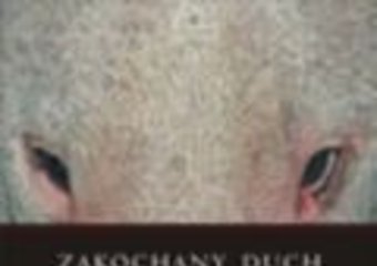 Gdy duch się zakocha