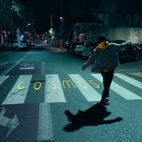 Żaluzje Cosmos