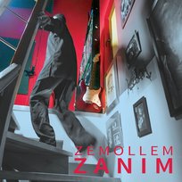 Zanim Zemollem