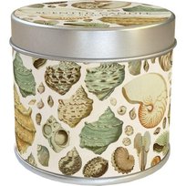 Klienci, których interesował ten produkt, oglądali też