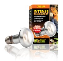 Żarówka grzewcza EXO-TERRA INTENSE BASKING SPOT 75 W 63 mm EXO-TERRA