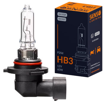 ŻARÓWKA SENSO HB3 12V 60W P20d HOMOLOGACJA E4 - SENSO