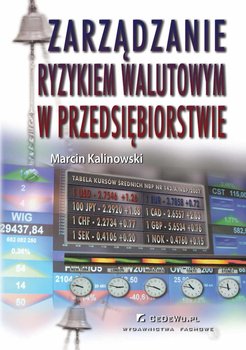 Zarządzanie ryzykiem walutowym w przedsiębiorstwie - Kalinowski Marcin