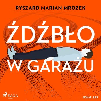 Źdźbło w garażu - Mrozek Ryszard Marian