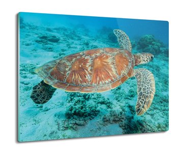 ze szkła osłonka druk Żółw na dnie oceanu 60x52, ArtprintCave - ArtPrintCave