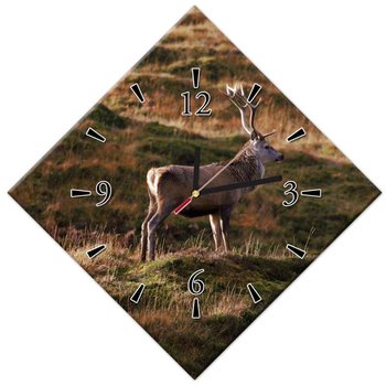Zegar Jeleń w naturze Łowiectwo, 42x42cm - ZeSmakiem