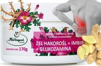 Żel CZARCI Diabelski PAZUR Imbir GLUKOZAMINA Odbudowa STAWÓW Herbapol 170g Herbapol w Krakowie SA