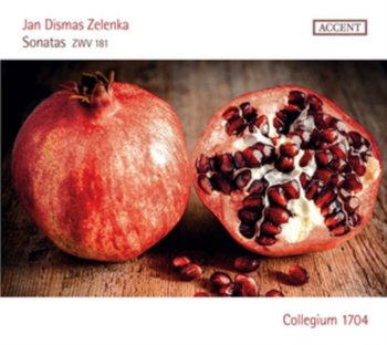 Zelenka: Sonatas ZWV 181 - Collegium 1704