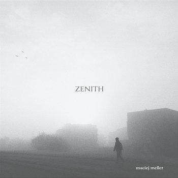 Zenith - Maciej Meller