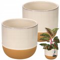 Zestaw 2 Szt Doniczka Donica Osłonka Ceramiczna Na Kwiaty Fi 17Cm Do Salonu&nbsp;-&nbsp;Kotarbau