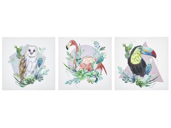 Zestaw 3 obrazów na płótnie zwierzęta 30 x 30 cm kolorowy MENAKA - Beliani