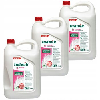 Zestaw 3x płyn do mycia naczyń Ludwik Malinowy 5 l - Ludwik