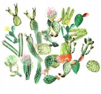 Zestaw 40 naklejek do scrapbooking kaktusy