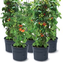 Zestaw 5X Doniczka Donica Do Uprawy Pomidorów Tomato Grower 153 Cm - Antracit