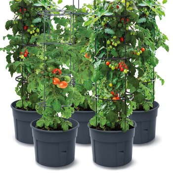 Zestaw 5X Doniczka Donica Do Uprawy Pomidorów Tomato Grower 153 Cm - Antracit - PROSPERPLAST