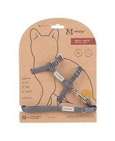 Zestaw dla kota Samba M szary