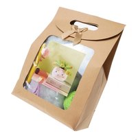 Zestaw do szydełkowania kawaii amigurumi duży sukulent (C2) kaktus DIY