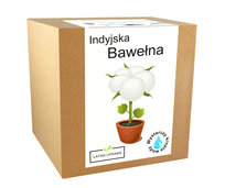 Zestaw Do Uprawy Bawełna Indyjska Nasiona Ozdobna