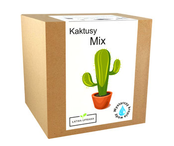 Zestaw Do Uprawy Kaktusy - Mix Kaktus Sukulenty - Inny producent