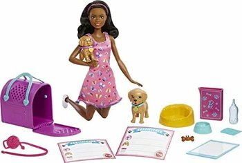 Zestaw Do Zabawy W Adopcję Barbie Hkd87 - Lalka, Szczeniaki, 10 Akcesoriów - Barbie