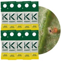 Zestaw Dobroczynek Kalifornijski 10 szt