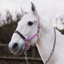 Zestaw Kantar dla konia i uwiąz HORZE Graffiti 25SS różowy PONY HORZE