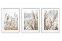 Zestaw Plakatów z ramką do sypialni salonu Obrazy na ścianę Trawy Boho