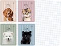 Zeszyt A5 16 kartek w kratkę, Puppy Sign, Interdruk - Interdruk
