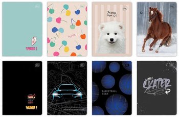 Zeszyt W Linię A5 Koty Interdruk 16 Kartek - Inna marka