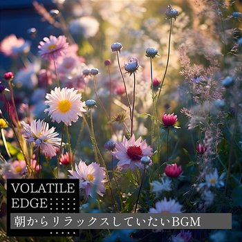 朝からリラックスしていたいbgm - Volatile Edge