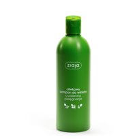 Ziaja, Oliwkowa, szampon do włosów do codziennej pielęgnacji, 400 ml Ziaja