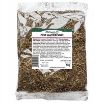 ZIELE MACIERZANKI 50g HERBAPOL KRAKÓW HERBAPOL KRAKÓW