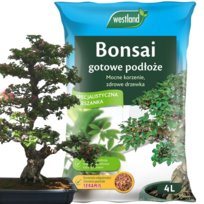Ziemia do bonsai 4L z seramis Westland