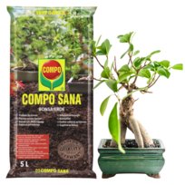 Ziemia do bonsai 5L Compo