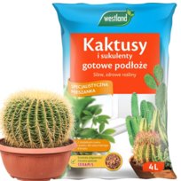 ZIEMIA do KAKTUSÓW I SUKULENTÓW PODŁOŻE specjalistyczna mieszanka z SERAMIS